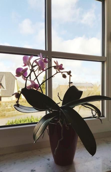 Ferienwohnung Nahe Der Ostsee Steinhagen  Zewnętrze zdjęcie
